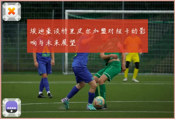 埃迪豪谈特里皮尔加盟对纽卡的影响与未来展望